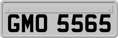 GMO5565