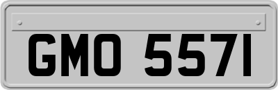GMO5571