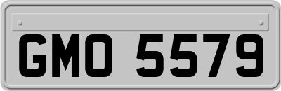 GMO5579