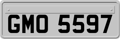 GMO5597