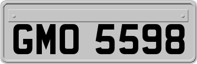 GMO5598