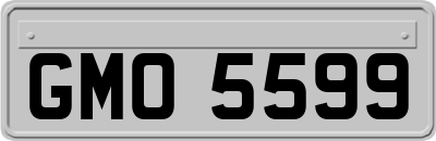 GMO5599