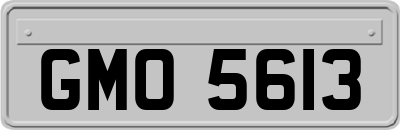 GMO5613