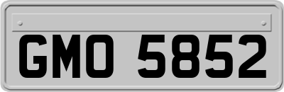GMO5852