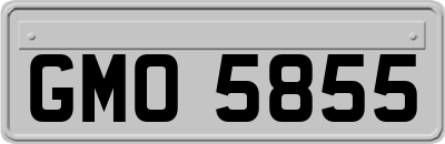 GMO5855