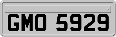 GMO5929