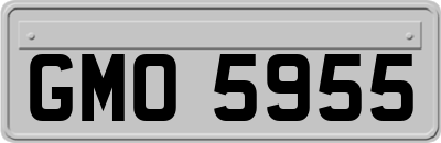 GMO5955