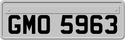 GMO5963