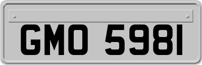 GMO5981