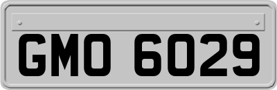 GMO6029