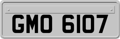 GMO6107