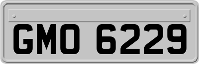 GMO6229