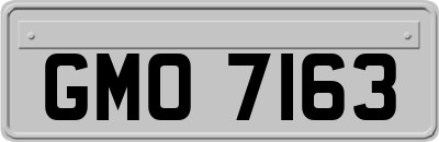 GMO7163