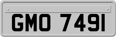 GMO7491
