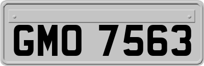 GMO7563
