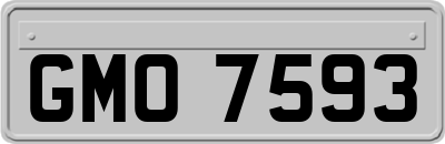 GMO7593
