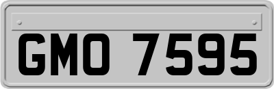 GMO7595