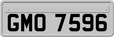 GMO7596