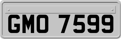 GMO7599