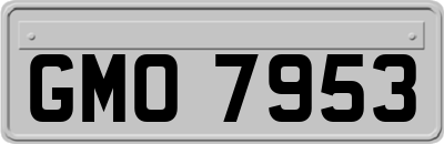 GMO7953