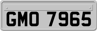 GMO7965