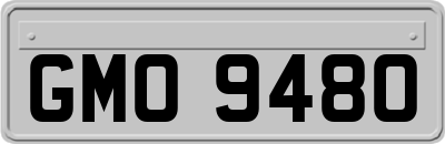 GMO9480