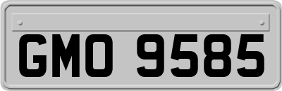 GMO9585