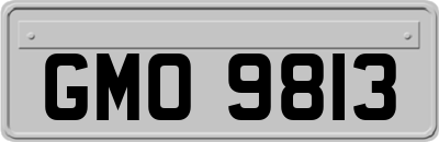GMO9813
