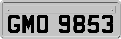 GMO9853