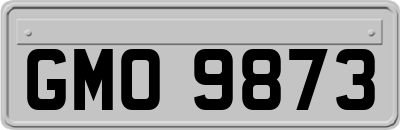 GMO9873