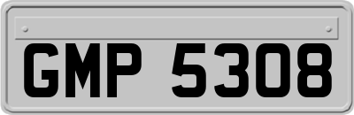 GMP5308