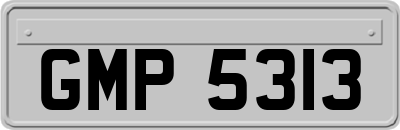 GMP5313