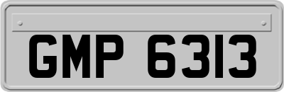 GMP6313