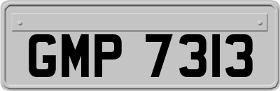 GMP7313