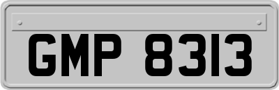 GMP8313