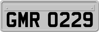 GMR0229