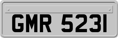 GMR5231