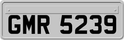 GMR5239