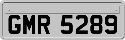 GMR5289
