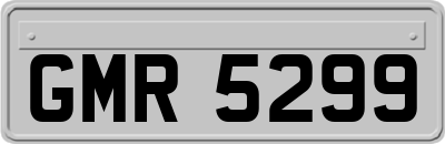 GMR5299