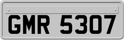 GMR5307