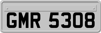 GMR5308