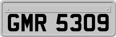 GMR5309