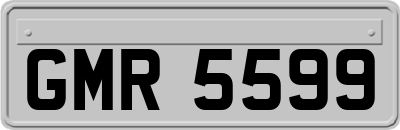 GMR5599