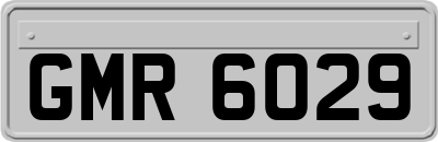 GMR6029