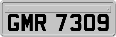 GMR7309
