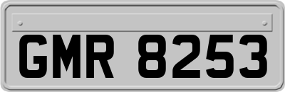 GMR8253