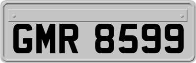 GMR8599