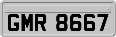 GMR8667