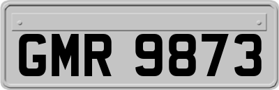 GMR9873